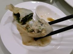 -陶然饺子城(奥体中路店)