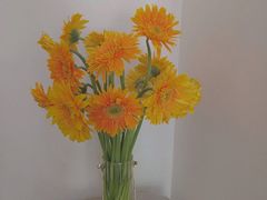 -潮发潮汕牛肉店(龙洞店)