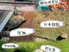 -南昌动物园