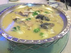 -丁老爷子苏香圆