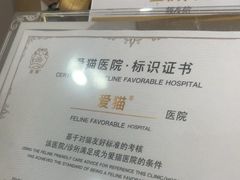 -宠颐生宠物医院·异宠猫科内科·诊疗中心宠巢店