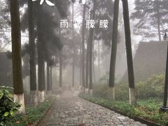 -莫干山风景区