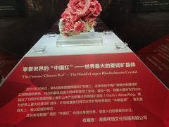 -湖南省地质博物馆