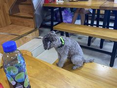 -幸福铁板烧(共和村店)