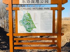 -东郊湿地公园