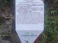 -海南霸王岭国家森林公园