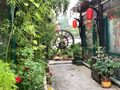 -慢丽江·云南野生菌土鸡锅(付家庄店)
