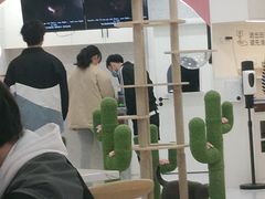大堂-喵园·猫主题咖啡厅·撸猫·猫咖(国贸店)