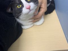 -柏萃动物医院·骨科·牙科