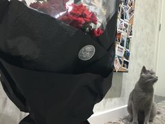 -植物学家的女儿(北马道巷店)