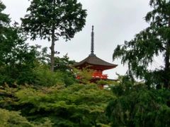 -有栖山 清光院 清水寺