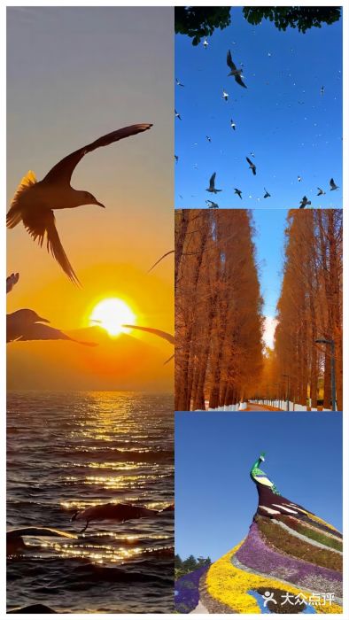 海埂大坝图片