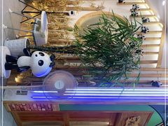 -熊猫家新派川菜(百里一·龙兴集店)