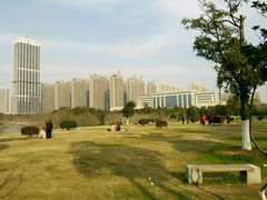 -艾溪湖湿地公园