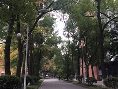 -四川大学(望江校区)