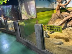 -苏州海洋馆