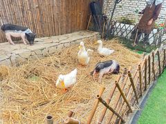 -HERRE·FARM 赫尔露营农场·团建聚会包场