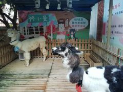 -佟小曼手工茶饼坊(鼓浪屿1店)