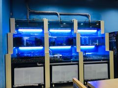 水产区-老虎滩大连海鲜烧烤(建邺云锦路总店)