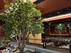 -同仁四季椰子鸡(海岸城天利店)