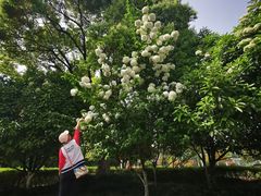 -杭州城北体育公园