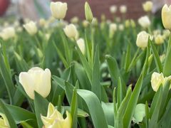 -白沙门生态公园