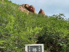 -红山国家森林公园