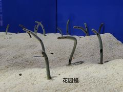 -上海海洋水族馆