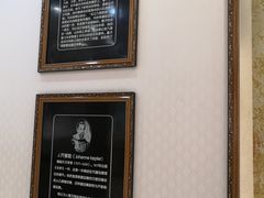 -标准眼镜·蔡司官方授权店(和平路总店)