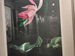 -姚建萍刺绣艺术馆