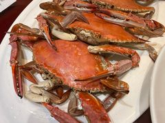 -日月昇渔家菜·海肠捞饭·大连海鲜(星海公园店)