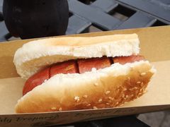 -卡萨罗马城堡