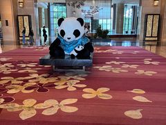 -成都保利公园皇冠假日酒店(熊猫基地店)