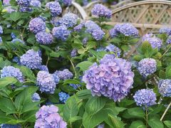 -常州古运河南大街文化旅游区-人民公园