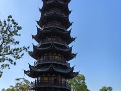 -龙华素斋(龙华路店)