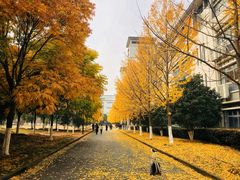 -江南大学(蠡湖校区)