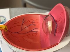 -武汉大学附属爱尔眼科医院(湖北总院)