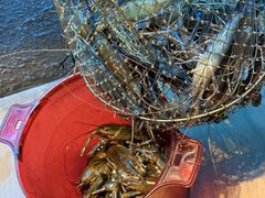 -桃源乐钓虾馆(松岗概念店)