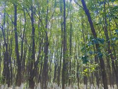 -艾溪湖湿地公园