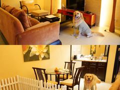 -太阳岛度假酒店