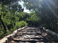 -阳台山自然风景区