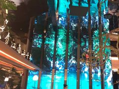 -桂满陇·海市蜃楼·黑金(国金店)