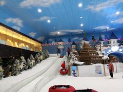 -世界之窗阿尔卑斯冰雪世界