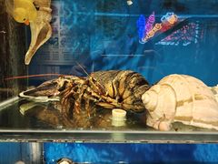 -柳记海鲜坊·蒸汽海鲜·福州菜·香辣蟹(芳群园店)