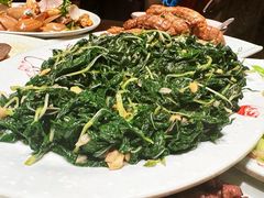 潮汕炒麻叶-抱德·潮汕味(琶洲店原惠城鱼仔)