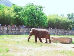 -西安秦岭野生动物园