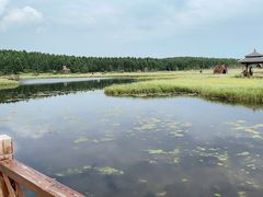 -塞罕坝国家级自然保护区