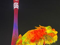 -海心沙亚运公园