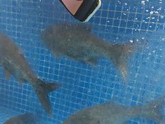 -川流不息·地道川菜·小龙虾(新松江路店)