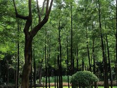 -晓港公园